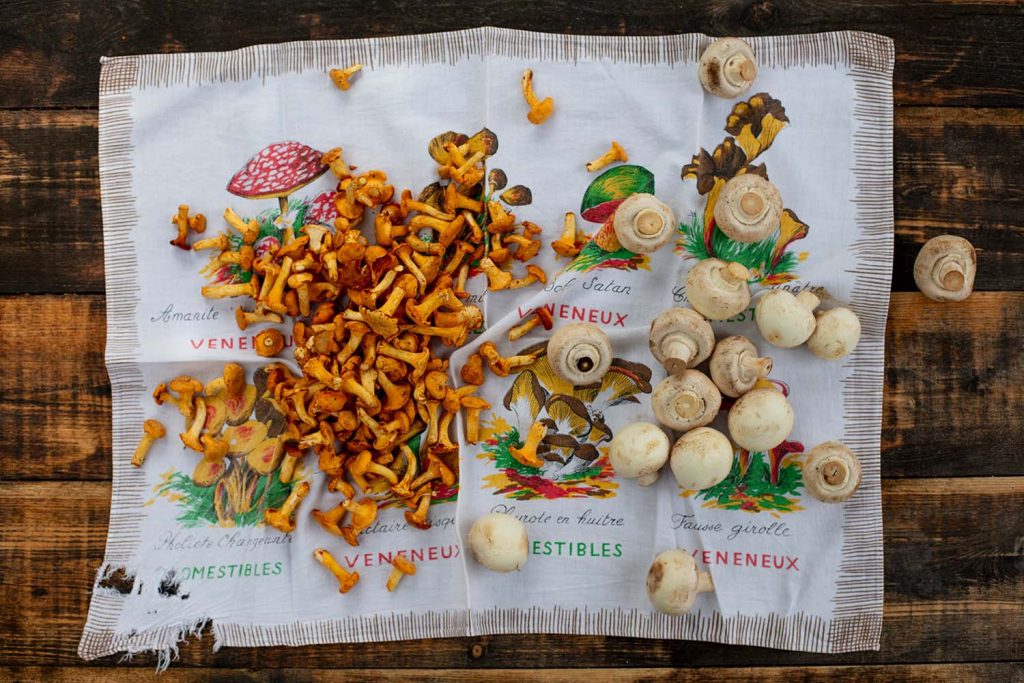 SALLAD / Danyel Couet